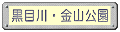 黒目川・金山公園 